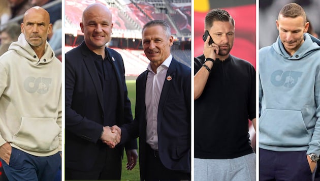 Für die Bullen in dieser Saison tätig (gewesen): Letsch, Schröder, Reiter, Seonbuchner und ...