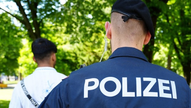 Die Polizei nahm den Jugendlichen in Gewahrsam (Symbolbild) (Bild: Kerschbaummayr Werner)