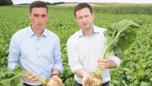 Bernhuber und Nemecek setzten sich durch. 