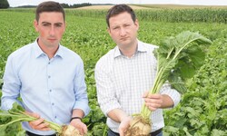 Bernhuber und Nemecek setzten sich durch. 