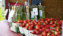 Dass die Reife bei Spargel und Erdbeeren langsamer geht, sei für die Qualität ein Vorteil.