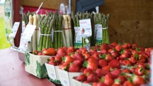 Dass die Reife bei Spargel und Erdbeeren langsamer geht, sei für die Qualität ein Vorteil.