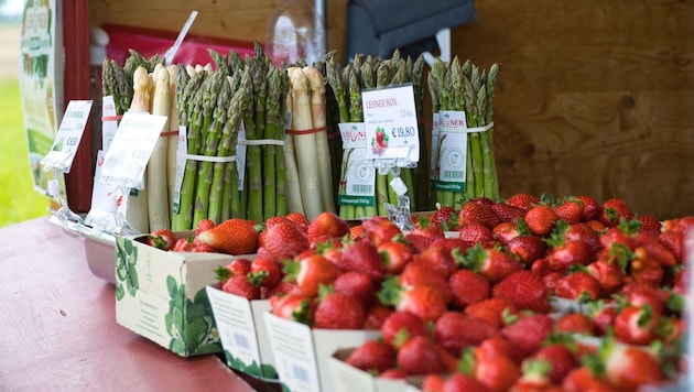 Dass die Reife bei Spargel und Erdbeeren langsamer geht, sei für die Qualität ein Vorteil.