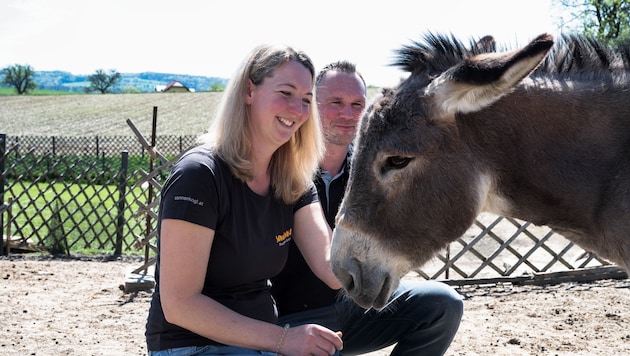 Daniela Maleschek heißt alle willkommen – von zarten Vogelbabys über stolze Hähne bis hin zu selbstbewussten Eselchen.