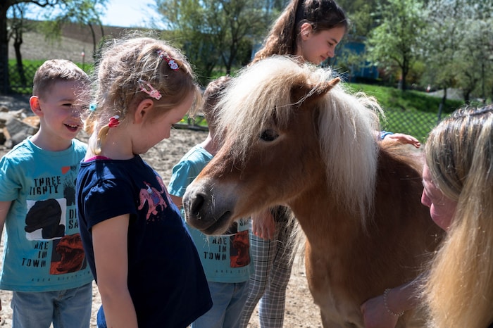 Berührender Austausch der Seelengeheimnisse und unvergessliche Erlebnisse für Kinder und Ponys.