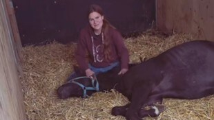 Tamara Binder beim Kuscheln mit einem der Pferde