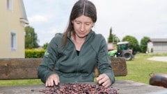 Eveline Adam arbeitet in der Saatzucht Gleisdorf seit 2012 daran, die Sorte Bonela ...