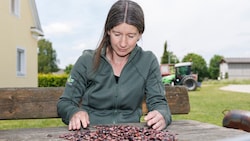 Eveline Adam arbeitet in der Saatzucht Gleisdorf seit 2012 daran, die Sorte Bonela weiterzuentwickeln, damit sie die Hitze im Sommer besser wegstecken kann. (Bild: Scheriau Erwin)