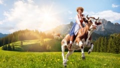 Das Erfolgsprodukt „Bauer sucht Frau“ geht auf ATV in seine 22. Staffel – Arabella Kiesbauer ...