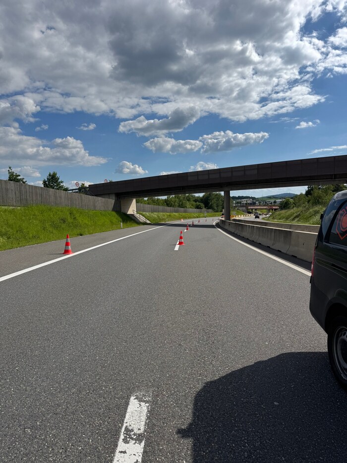 Für die Bergung der versprengten Küken wurde sogar die Hälfte der Mühlviertler Schnellstraße ...