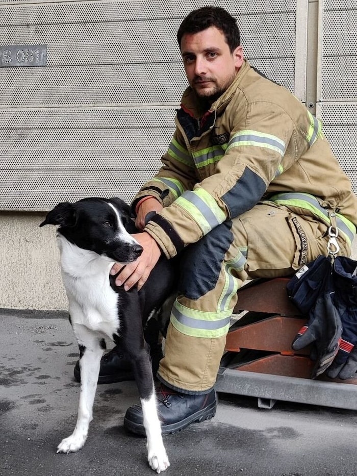 Auch ein Hund wurde aus einem Unfallfahrzeug gerettet.