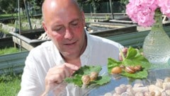 Christoph Salanda in seinem Schneckengehege in Krumpendorf. 80.000 Schnecken werden heuer ...