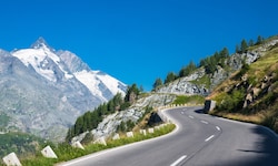 Berg, Fauna, Flora, Idylle – und dazwischen eine Straße, über die wieder einmal Autolenker ...