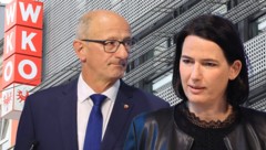Wie lange schaut ÖVP-Obmann LH Anton Mattle noch zu? Mit so viel Gegenwind hat WK-Präsidentin ...