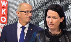 Wie lange schaut ÖVP-Obmann LH Anton Mattle noch zu? Mit so viel Gegenwind hat WK-Präsidentin ...