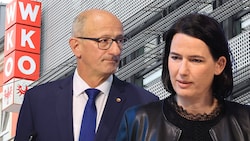 Wie lange schaut ÖVP-Obmann LH Anton Mattle noch zu? Mit so viel Gegenwind hat WK-Präsidentin Thaler wohl nicht gerechnet. (Bild: Birbaumer Christof)