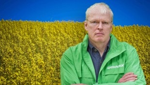 Im Verein mit Wissenschaftern sorgt sich Alex Egit um die Bienenvölker. (Bild: Krone KREATIV/Gabriele Moser, Daniel Scharinger)