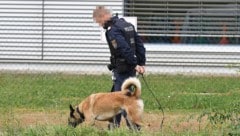 Sprengstoffspürhunde kamen an diversen Schauplätzen zum Einsatz (Symbolbild). (Bild: P. Huber)