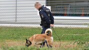 Sprengstoffspürhunde kamen an diversen Schauplätzen zum Einsatz (Symbolbild).