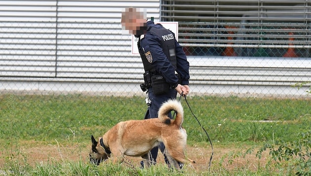 Sprengstoffspürhunde kamen an diversen Schauplätzen zum Einsatz (Symbolbild).