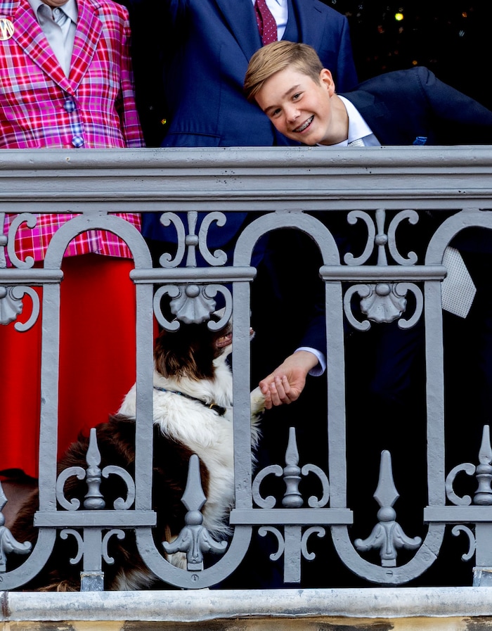 Der Border Collie gibt Prinz Vincent artig die Pfote.