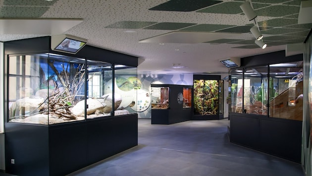 Das Haus der Natur zählt zu den Publikumsmagneten.