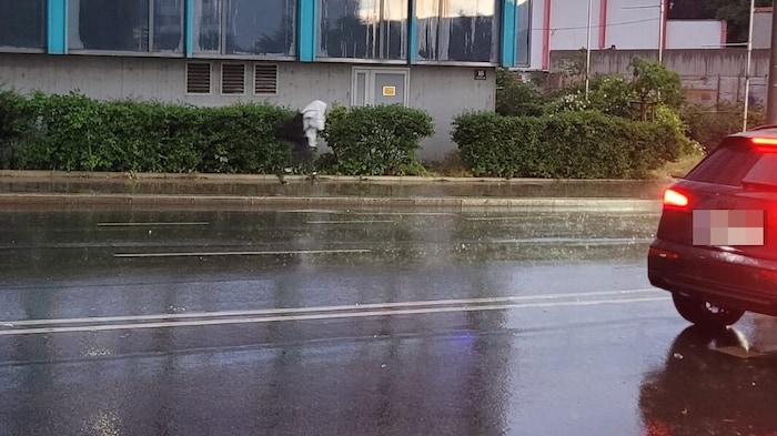 Bis zu 23 Liter Niederschlag pro Quadratmeter fielen in Wien.
