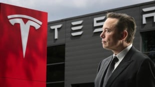 Boss Elon Musk will mit einem neuen Billig-Tesla aus der Krise fahren.