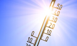 Die Temperaturen steigen in den kommenden Tagen immer weiter an.