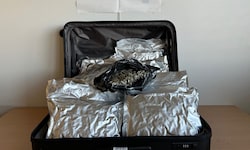 Insgesamt 11,3 Kilogramm Cannabis wollte der Brite über Wien  nach Newcastle (UK)  schmuggeln. 