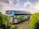 790.000 Fahrgäste waren im ersten Halbjahr bereits mit den Linien der VBB unterwegs.