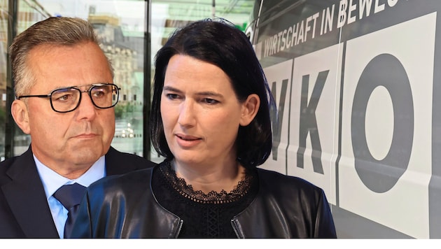 WK-Chefin Thaler wollte wieder eine Frau an der Spitze der Sparte Verkehr – Obmann ist nun aber Franz Sailer. Eine Niederlage für Thaler.