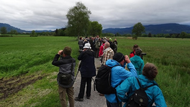 Auch Exkursionen sehen am Programm der Umweltwoche in Vorarlberg. 