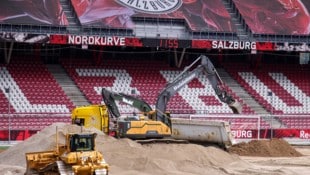 Mit dem Rasen der Red Bull Arena gehen die Profis hart ins Gericht.