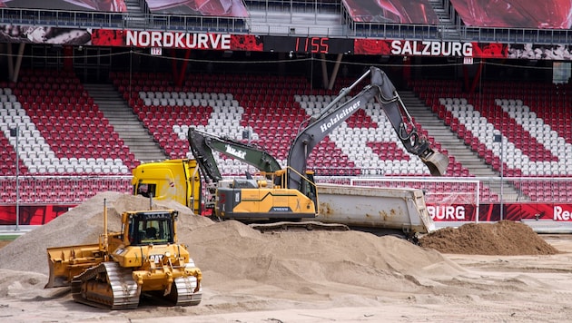 Mit dem Rasen der Red Bull Arena gehen die Profis hart ins Gericht.