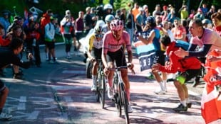 Isaac del Toro liegt beim Giro auch nach der 16. Etappe in Führung.