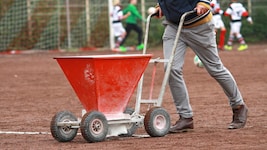 Der 22-jährige Verdächtige wurde festgenommen, es handelt sich um einen Mitarbeiter des Fußballvereins. (Bild: Kara - stock.adobe.com)