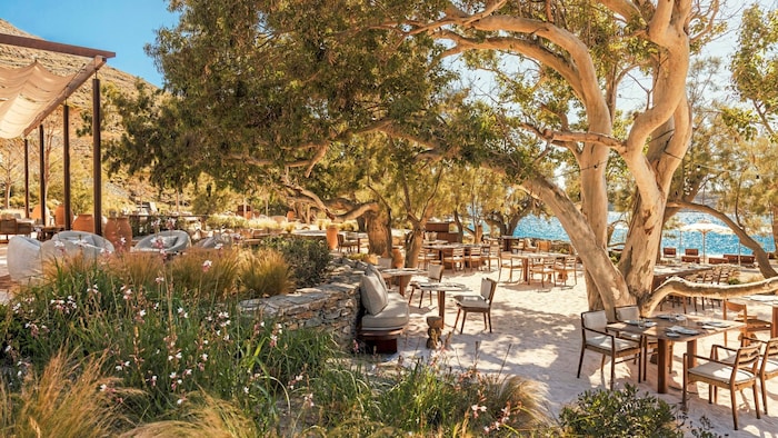 Entspannte Atmosphäre im Schatten von Olivenbäumen, die Füße im Sand und das Meer nur wenige Schritte entfernt – der Bond Beach Club ist ein perfekter Platz für eine kulinarische Pause. 