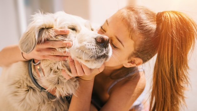 Für potenzielle Hundekäufer ist der Traum nach dem vierbeinigen Liebling ausgeträumt