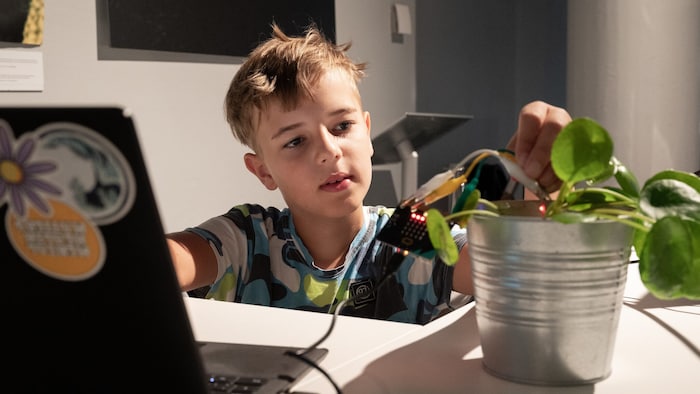 Natur und Digitales: Auch ist ist Thema bei Workshops