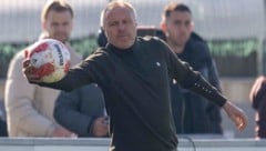Bekennt sich zur Admira: Thomas Silberberger. 