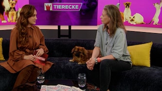„Krone zu Mittag“ (Bild: krone.tv)