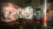 Ficus bis Grünlilie – das Weltmuseum erzählt in einer feinen, kleinen Schau die Geschichte von zehn beliebten Zimmerpflanzen. (Bild: Weltmuseum Wien/Daniel Sostaric)
