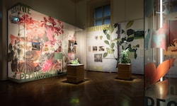 Ficus bis Grünlilie – das Weltmuseum erzählt in einer feinen, kleinen Schau die Geschichte von ...