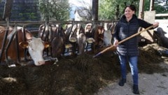 Margret Karelly kümmert sich 365 Tage im Jahr um ihre Milchkühe in Aflenz.