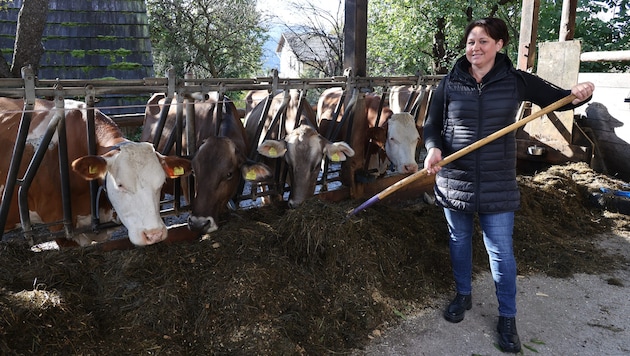 Margret Karelly kümmert sich 365 Tage im Jahr um ihre Milchkühe in Aflenz.