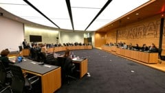 Das Parlament darf den Kreis der Medienvertreter nicht auf beruflich für professionelle ...