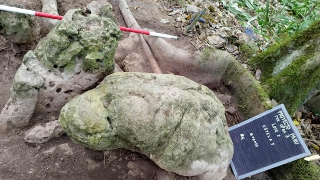 In Guatemala wurde eine Mayastadt entdeckt. Die Überreste an der Grenze zu Mexiko sind fast 3000 ...
