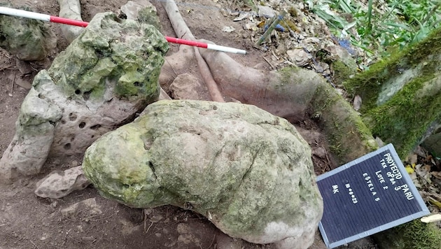 In Guatemala wurde eine Mayastadt entdeckt. Die Überreste an der Grenze zu Mexiko sind fast 3000 ...