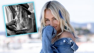 Nach sechs Jahren erschien am  23. Mai Sarah Connors zwölftes Studioalbum mit dem Titel ...
